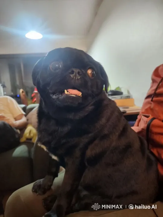 Dog Runs Through Time-Space Tunnel of Speed – AI Generated Video | Hailuo AI