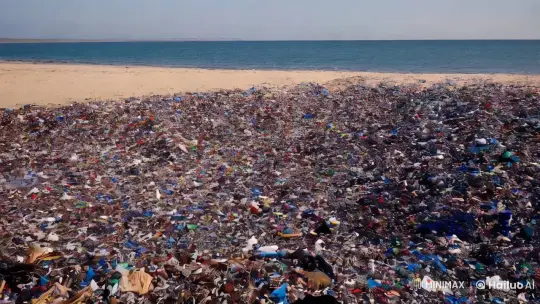 Volunteers Clean Up Beach with Passionate Leadership – AI Generated Video | Hailuo AI