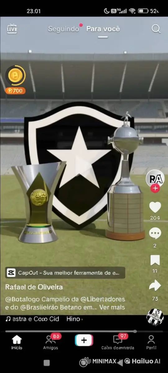 Brazilian Football Triumph: Championship and Libertadores Celebration – AI Generated Video | Hailuo AI