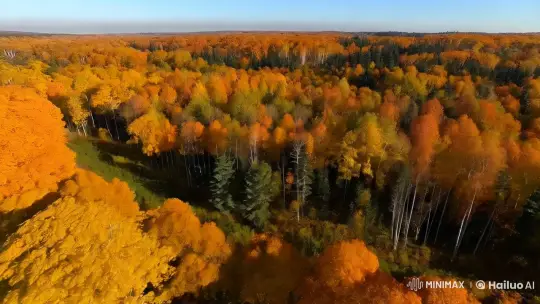 Autumn Forest and Underwater 4K Panorama – AI Generated Video | Hailuo AI