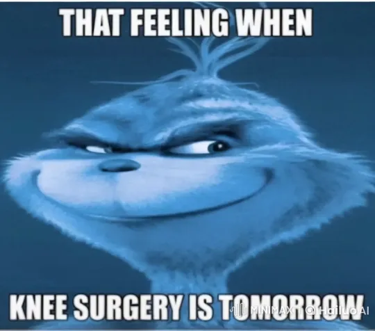 Furry Character Anticipates Knee Surgery Tomorrow – AI Generated Video | Hailuo AI