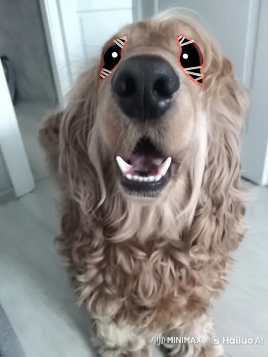 Anime Girl Pets Joyful Anime Dog in Live2D Animation – AI Generated Video | Hailuo AI
