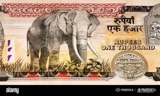 Animated Elephant on a Moving Rupee Note Illustration – AI Generated Video | Hailuo AI