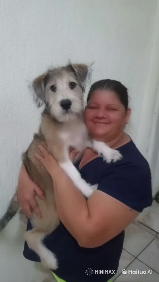 Woman and Dog Share Tender Moment – AI Generated Video | Hailuo AI