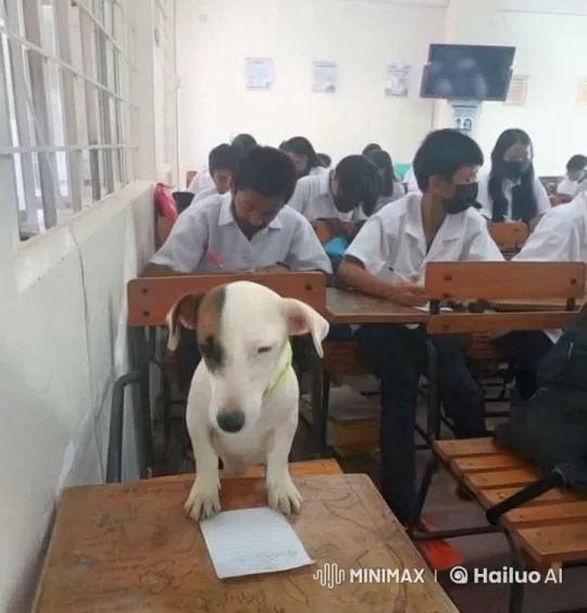 Dog Chases Grinch and Shrek in Focused Classroom – AI Generated Video | Hailuo AI