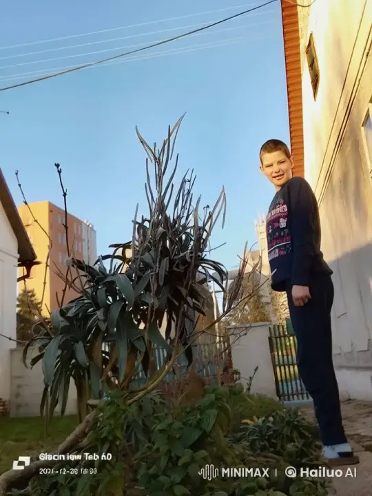 Young Person Appears to Fly in Garden Video – AI Generated Video | Hailuo AI