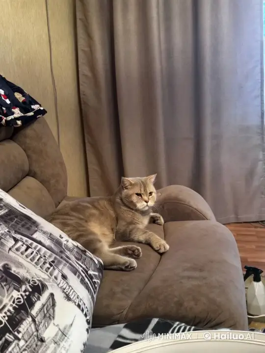 Cat's Graceful Dance and Magical Flight – AI Generated Video | Hailuo AI
