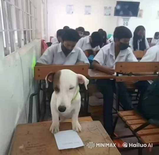 Dog Imparts Blessings in Attentive Classroom – AI Generated Video | Hailuo AI