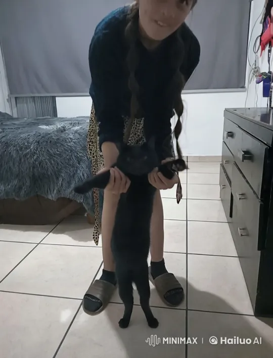 Girl and Muscular Cat Engage in Playful Mock Fight – AI Generated Video | Hailuo AI
