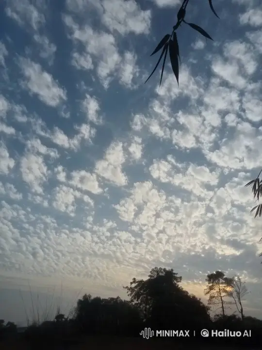 Tranquil Sky with Drifting Clouds and Swaying Nature – AI Generated Video | Hailuo AI