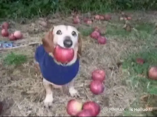 Dog Enacts Lezginka Amidst Falling Apples – AI Generated Video | Hailuo AI