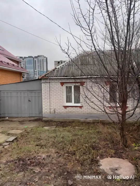Santa Claus Decorates Yard with Christmas Tree – AI Generated Video | Hailuo AI