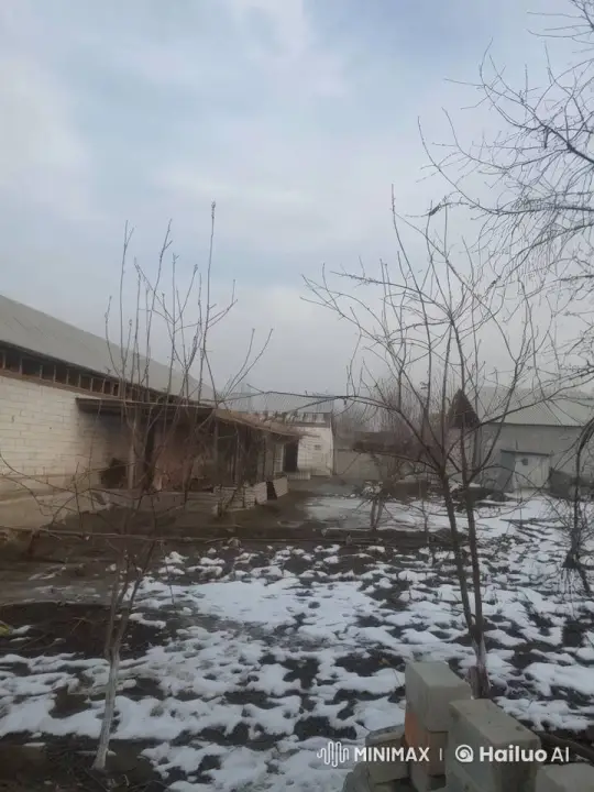 Rustic Yard Transformed by Serene Snowfall and Polar Bear's Stroll – AI Generated Video | Hailuo AI