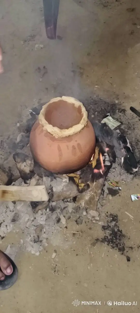Traditional Clay Pot Cooking on Bed of Embers – AI Generated Video | Hailuo AI
