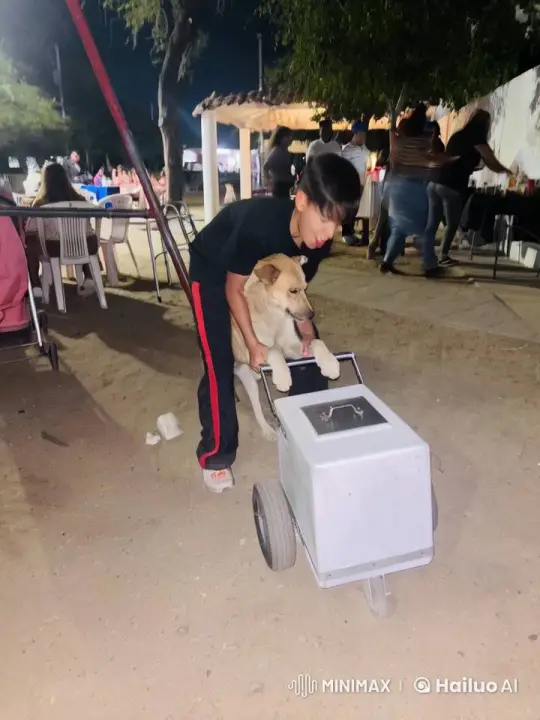 Child and Dog Interaction Turns Tense at Night Gathering – AI Generated Video | Hailuo AI