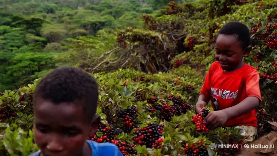 Boy's Journey in Tudun Wada Amidst Environmental Change – AI Generated Video | Hailuo AI