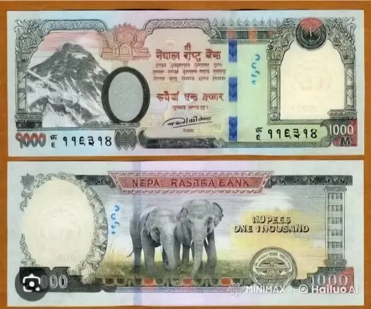 Nepalese Rupees Note with Animated Elephants – AI Generated Video | Hailuo AI