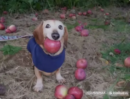 Animated Dog in Apple Orchard Goes from Calm to Angry with Gun – AI Generated Video | Hailuo AI