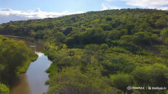 Nature's Beauty: Skies, Clouds, Birds, and Fish – AI Generated Video | Hailuo AI