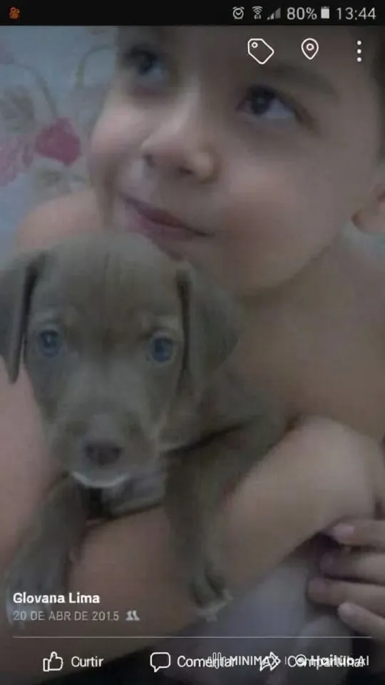 Child and Puppy Billy's Close-Up Bond – AI Generated Video | Hailuo AI