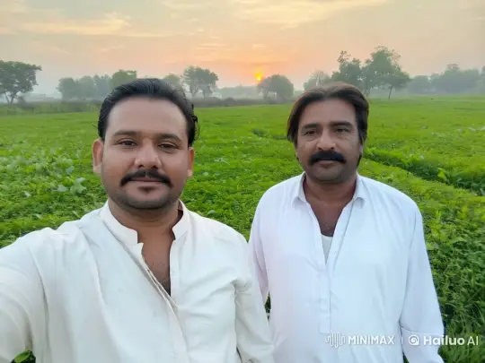 Traditional Playful Fight in Lush Green Field at Sunset – AI Generated Video | Hailuo AI