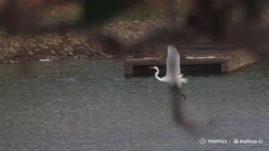 Elegant Egret Glides Over Tranquil Waters – AI Generated Video | Hailuo AI