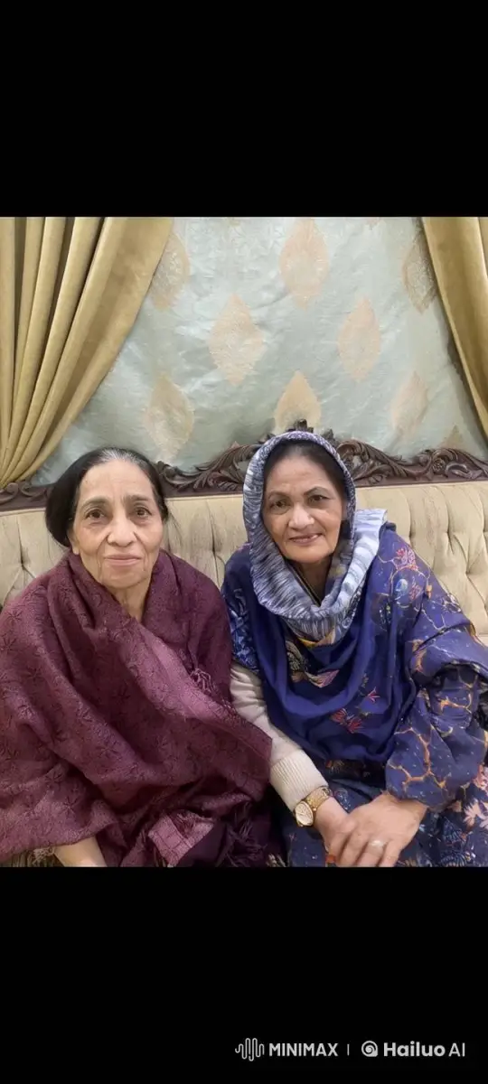 Elderly Women's Subtle Seated Argument – AI Generated Video | Hailuo AI
