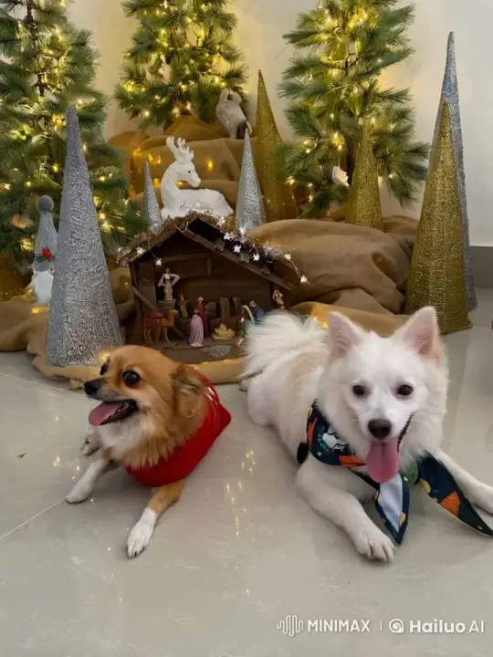 Adorable Dogs Celebrate Festive Christmas Setting – AI Generated Video | Hailuo AI