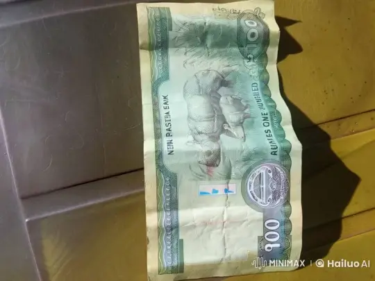 Animated 100 Nepalese Rupee Note in Live2D – AI Generated Video | Hailuo AI