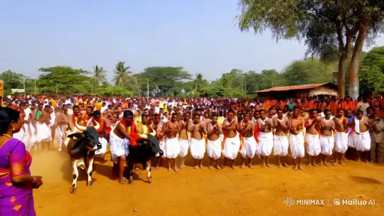 Jallikattu: Vibrant Festival in South Indian Village – AI Generated Video | Hailuo AI