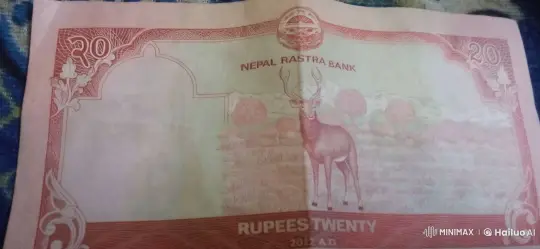 Nepalese 20 Rupee Note with Animated Deer – AI Generated Video | Hailuo AI