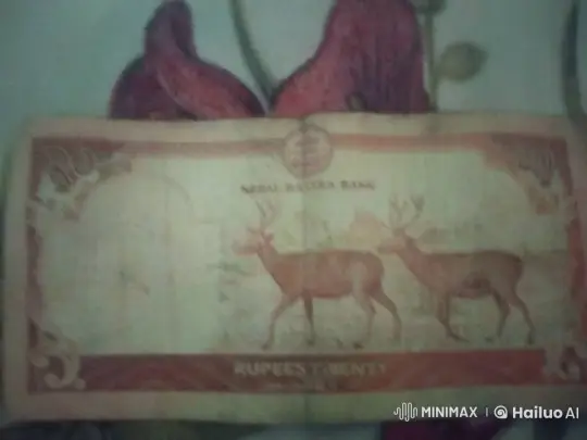 Nepalese Banknote with Animated Deer Fight and Run – AI Generated Video | Hailuo AI