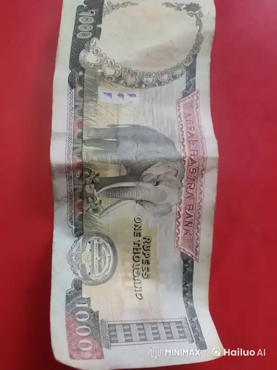 Nepalese Elephant Comes Alive on Banknote – AI Generated Video | Hailuo AI