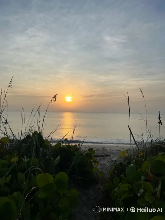 Beach Sunrise: Serene Dawn to Morning Transition – AI Generated Video | Hailuo AI