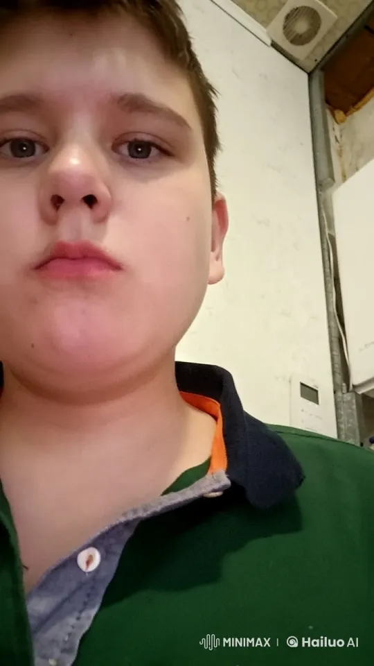 Young Person in Collared Shirt with Live2D Animation – AI Generated Video | Hailuo AI