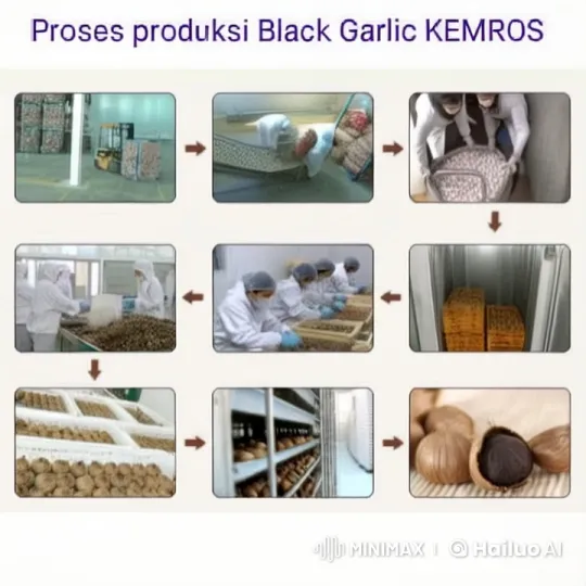 3D Animated Tour of Modern Black Garlic Factory – AI Generated Video | Hailuo AI