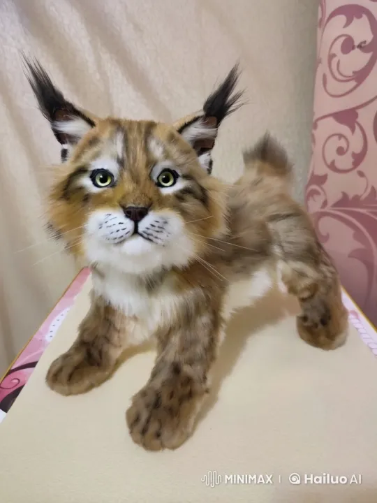 Realistic Plush Lynx Toy Examined in Detail – AI Generated Video | Hailuo AI