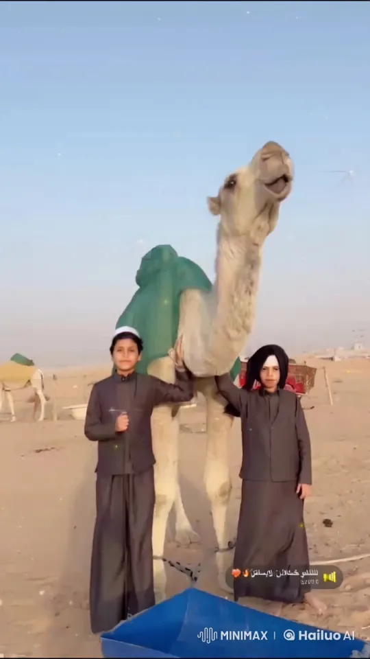Desert Boys with Smoking Camel Amid Tranquil Night – AI Generated Video | Hailuo AI