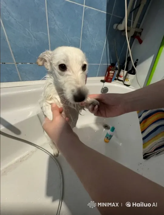 Keanu Reeves Cuddles and Kisses His Wet Dog in the Bathroom – AI Generated Video | Hailuo AI
