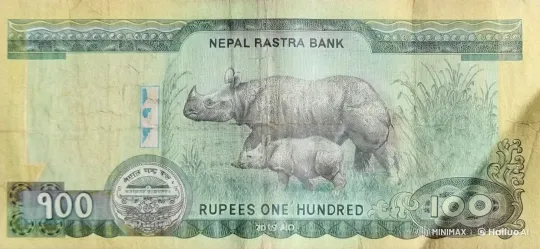 Nepalese 100-Rupee Note: Animated Rhinos in Motion – AI Generated Video | Hailuo AI