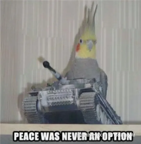 Dramatic Cockatiel Stands Amidst War-Torn Sunset – AI Generated Video | Hailuo AI