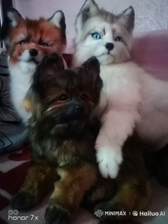 Cozy Calm: Realistic Plush Animals in Live2D – AI Generated Video | Hailuo AI