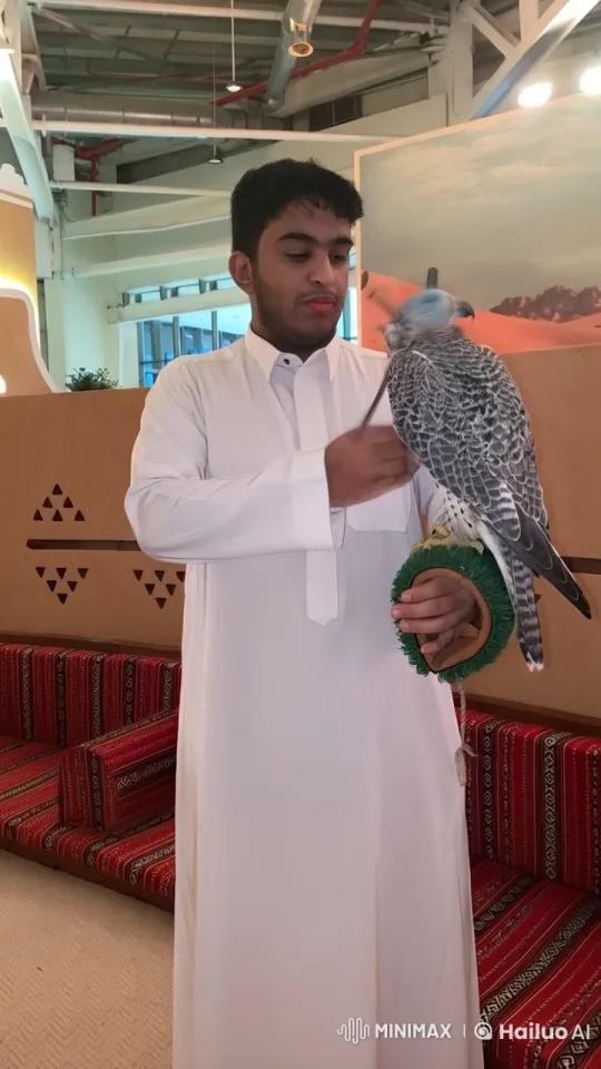 Arabian Man with Falcon Amidst Cultural Decor – AI Generated Video | Hailuo AI