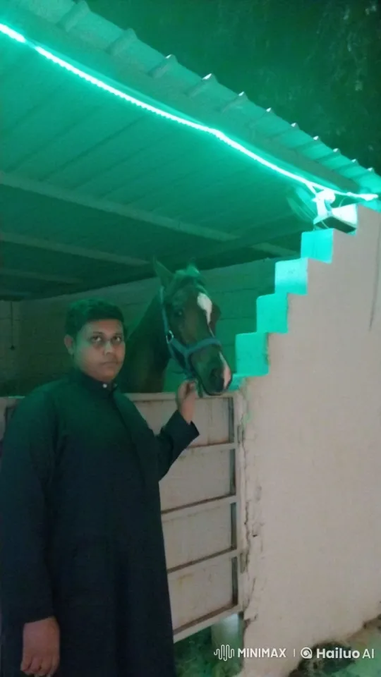 Man and Horse in Tranquil Neon-Lit Stable – AI Generated Video | Hailuo AI