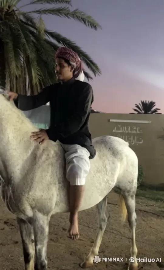 Traditional Rider and Horse Displaying Graceful Mastery – AI Generated Video | Hailuo AI