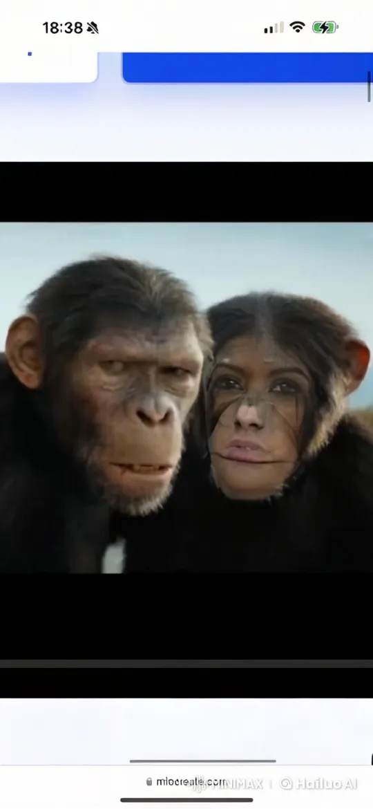 Monkeys Engage in Animated Outdoor 'Conversation' – AI Generated Video | Hailuo AI