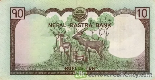 Nepali Banknote: Deer Illustration Comes to Life – AI Generated Video | Hailuo AI