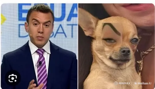 Live2D Split-Screen Debate and Affectionate Woman with Dog – AI Generated Video | Hailuo AI
