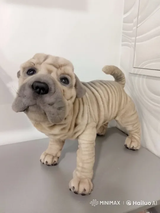 Cute Shar Pei Puppy on Grey Surface with Waves – AI Generated Video | Hailuo AI