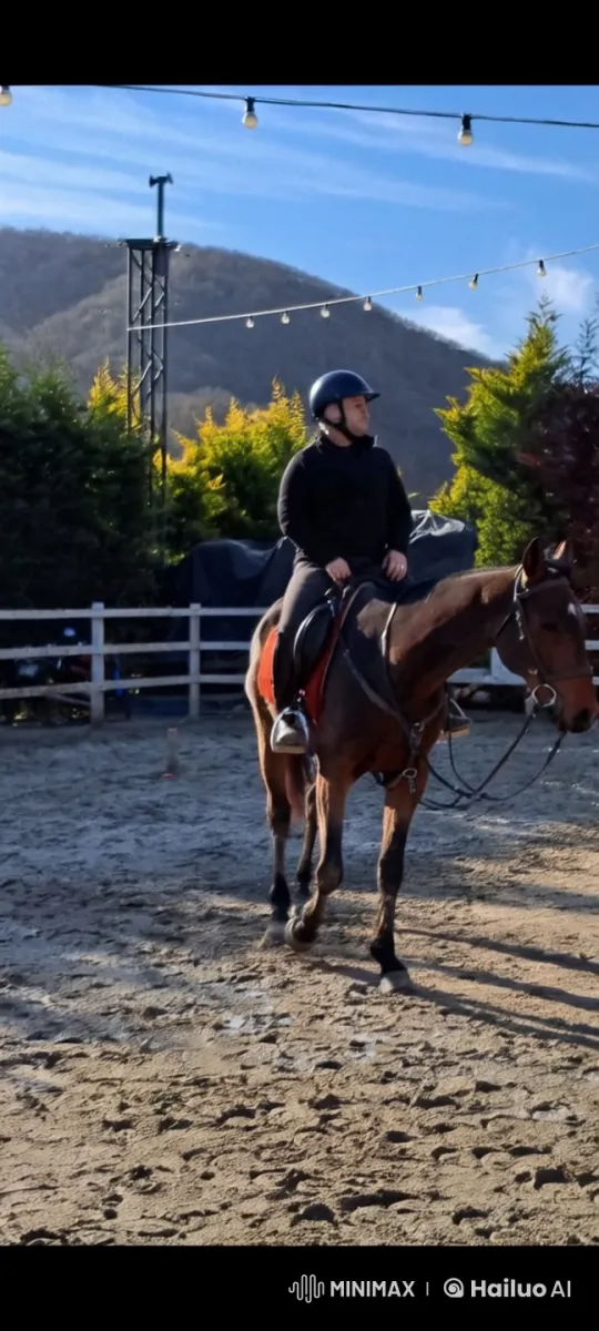 Trained Horse and Rider Showcase Agility in Outdoor Arena – AI Generated Video | Hailuo AI